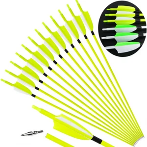 30'' Carbonpfeile Naturfedern SP500 Jagdpfeile Ersatz Broadhead Bogenschieß Jagd - Picture 1 of 14