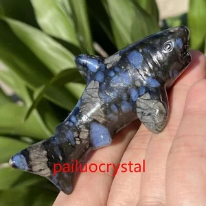 1pcs Natural Rhyolite Shark Quartz Crystal Skull Carved Figurines Gem Healing 3" - Picture 1 of 10