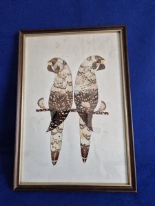 Framed Vintage Handmade Butterfly Wings Picture of 2 Parrot Birds - Picture 1 of 7