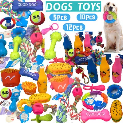 Assorted Dog Puppy Pet Toys Ropes Chew Squeaky Fetch Balls Training Play Bundle - Image 1 of 4