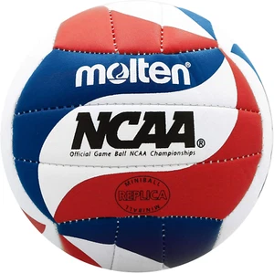 Mini Volleyball - Picture 1 of 12