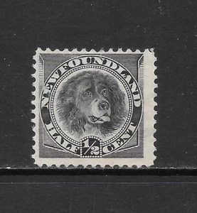 NEWFOUNDLAND SCOTT 58 MNG FINE - 1894 1/2c BLACK ISSUE - NEWFOUNDLAND DOG - Picture 1 of 2