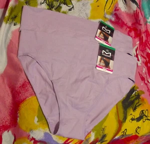 2 NEW MAIDENFORM DM2317 9J8 SOFT STRETCH SEAMLESS HIGH LEG BIKINI PANTIES L/7 - Picture 1 of 2