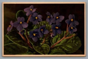Thor E Gyger flowers postcard Usambara, Veilchen #1082 Saintpaulia ionantha - Picture 1 of 2