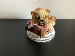 2006 ZELDA WISDOM BULLDOG BOBBLEHEAD #16649 Falls Into Your Drawers - Picture 1 of 6