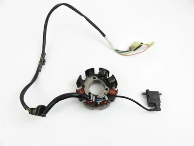 Honda XR250 XR250R 250 1996-2004 estator magneto CDI gatillo de encendido Foto 1 de 4