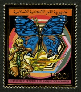 Comoros 1989 Imperf. Scouting : Butterflies and Birds Gold full N° 885   bl 293- - Picture 1 of 4