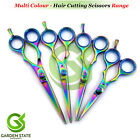 Professional Haircutting Scissors Eyebrow Tweezer Cuticle Nipper Acrylic Pincher