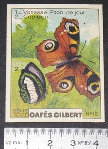 CHROMO 1936 CAFES GILBERT PAPILLONS BUTTERFLY VANESSE PAON DE JOUR CUPIDON - Imagen 1 de 1