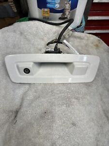 2009 -2012 Chevy Traverse Lift Tailgate Hatch Door Handle Rearview Camera, Oem