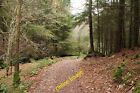 Photo 6X4 Kirroughtree Forest Trails Stronord Trail Back Towards The Visi C2013