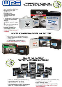 NEW WPS YTX14-BS Battery No Maintenance Free