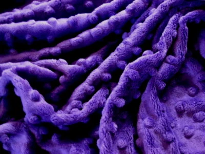 PÚRPURA MINKY CUDDLE HOYUELO PUNTO FELPA TEJIDO COSER EDREDÓN TELA ARTESANAL POR Y PRECORTADOS Foto 1 de 4