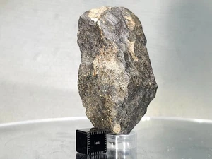 NWA 17896, Howardite, 79,27 g, meteorito con gran corteza primaria y secundaria - Imagen 1 de 15