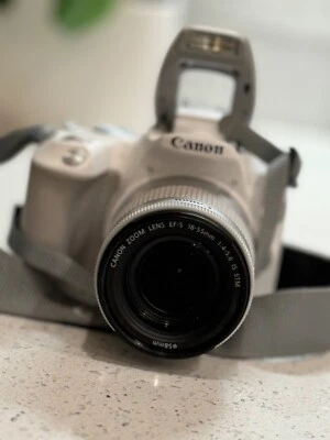 Cámara digital Canon EOS Rebel SL2 24,2 mega píxeles - blanca (EF-S 18-55 mm) Foto 1 de 4