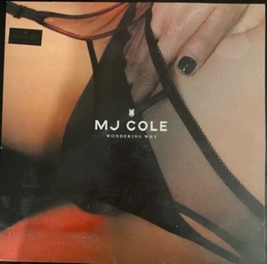 MJ Cole...Wondering Why 12" Vinyl - Picture 1 of 1