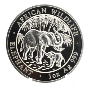 1 OZ plata Somalia African Wildlife Elefant 2007 en cápsula - Imagen 1 de 2