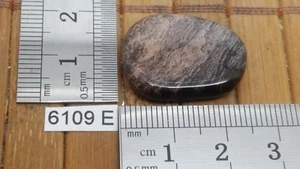 JASPE FEUILLE D'ARGENT pierre plate mineraux lithotherapie soin reiki collection - Picture 1 of 2