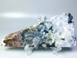 Best Natural Polished Ocean Jasper Agate Quartz Crystal Slice Stone Reiki Stand - Picture 1 of 7