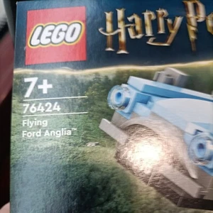 LEGO Harry Potter: Flying Ford Anglia (76424) - Picture 1 of 6