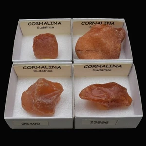 CORNALINA (Sudafrica) "ver disponibles" / Carnelian - Picture 1 of 6