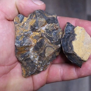 3Pcs Stromatolite Bolivia Upper Cretaceous Fossil Natural stone - Picture 1 of 3