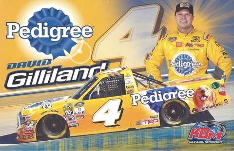 2018 DAVID GILLILAND "PEDIGREE" #4 NASCAR TRUCK SERIES B/B POSTCARD Cover