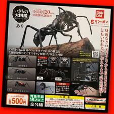 Gashapon The Diversity of Life on Earth Ant Set 3 Figure Bandai Japan Import