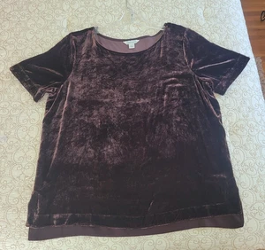 Sundance Katalog (L) "Forever Velvet" schokobraunes Kurzarmshirt - Bild 1 von 5