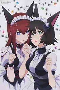 poster promo Steins Gate Pretty Rhythm Aurora Dream anime Kurisu Shiina Mayuri - Picture 1 of 2