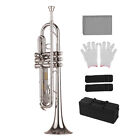 Standard Bb Trumpet Brass Nickle Plated Instrument W/ Mouthpiece Carry Bag O9y1
