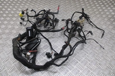 Arnés telar cableado BMW R 1200 GS 2005 2004 - 2012 Foto 1 de 4