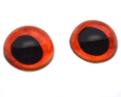 Par de joyas de taxidermia ojos de vidrio de media esfera inspiradas en pez cerdo rojo cúpula alta Foto 1 de 4