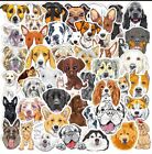 10 PCS Cute Dogs Different Breeds Mix Stickers BRAND NEW