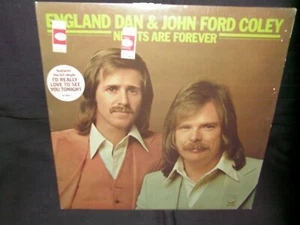 ENGLAND DAN & JOHN FORD COLEY NIGHTS ARE FOREVER / LP 1976 BIG THREE RECORDS - Bild 1 von 6