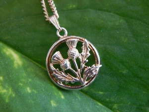 Scottish Thistle Necklace Scotland Symbol .925 Charm Pendant 16" Chain (TF1015) - Picture 1 of 12