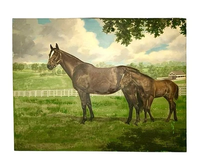 Pintura Original Firmada Allen Brewer JR. Nashua Caballo Grande Óleo Sobre Lienzo 1950 Foto 1 de 4