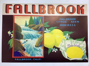 VTG Original Fallbrook Brand Fruit Sunkist CA crate label Ex.Colors 12.75x 8.75” - Picture 1 of 3