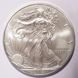 2013 Silver American Eagle Dollar - Picture 1 of 2