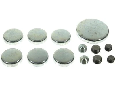 Kit de tapones de expansión para Ford LN800 1980-1985 33539TKDW 1981 1982 1983 1984 Foto 1 de 2