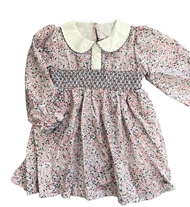 Dress Pink Blue Smocked 2T NEW Toddler Girl Long Sleeves Collar Spring Fall 88 - Picture 1 of 7