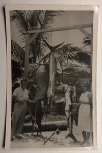 Swordfish and Shark Trophy Fishers RPPC Kodak Mexicana Ltd - Picture 1 of 2