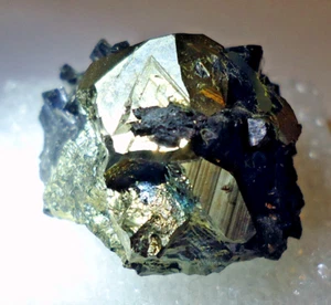 Enargite Pyrite Montana Thumbnail #M85 - Picture 1 of 8