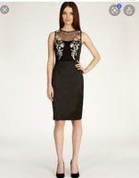 coast amiah feather dress