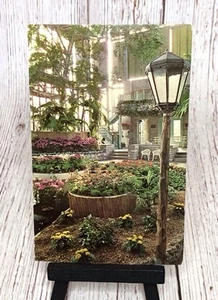 Jewel Box Wald Park Frühling Ringelblumen Azaleen St. Louis Missouri MO Postkarte - Bild 1 von 4