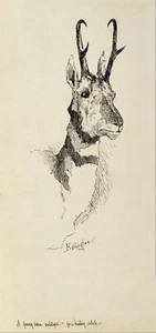 A Pronghorn Antelope de Frederic Remington Giclee Repro sobre lienzo - Imagen 1 de 1