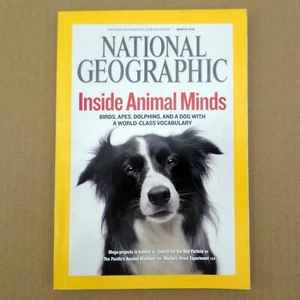National Geographic Mar 2008 Animal Minds The God Particle Bhutan Iceland - Imagen 1 de 8