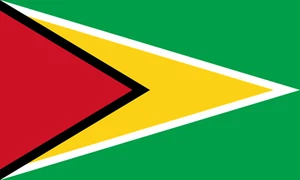 GUYANA FLAGGE GROSS 5' x 3' KARNEVAL ODER FEIER DEKORATION MIT ÖSEN - Bild 1 von 2