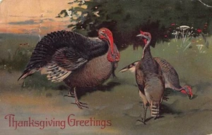 Postkarte: 3 Truthähne, Thanksgiving-Grüße, veröffentlicht 1908, Vintage - Bild 1 von 2