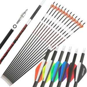 31" Dark Glow Pure Carbon Arrows SP300-600 2" Vanes Archery Bow Hunting Target - Picture 1 of 19